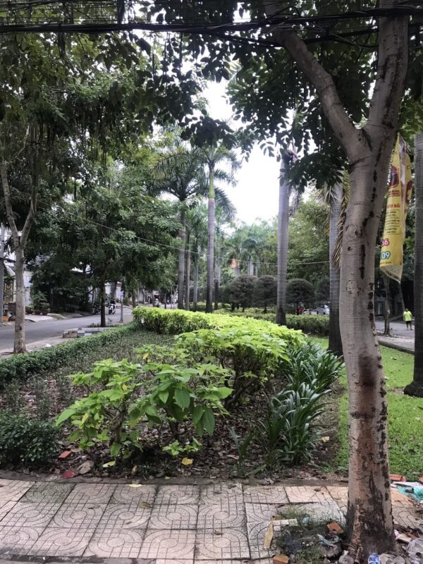 Bán nhà 73m2 SHR 4 tầng đường công viên sát ĐH Văn Lang Đặng Thùy Trâm