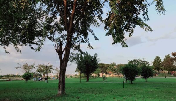 Khu Dân Cư Bình Lợi - Đặng Thùy Trâm