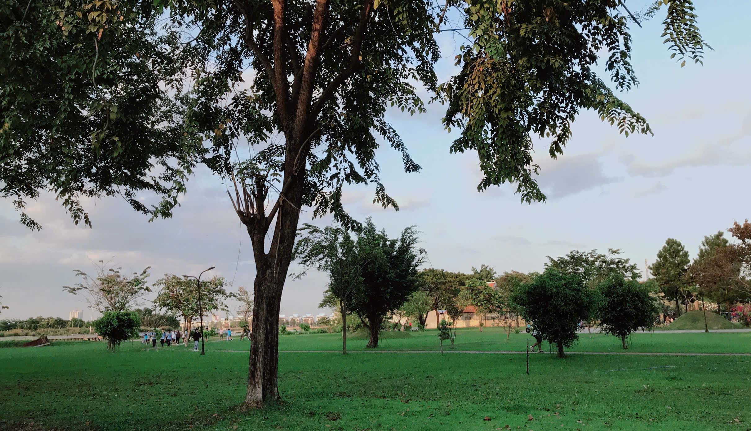 Khu Dân Cư Bình Lợi - Đặng Thùy Trâm