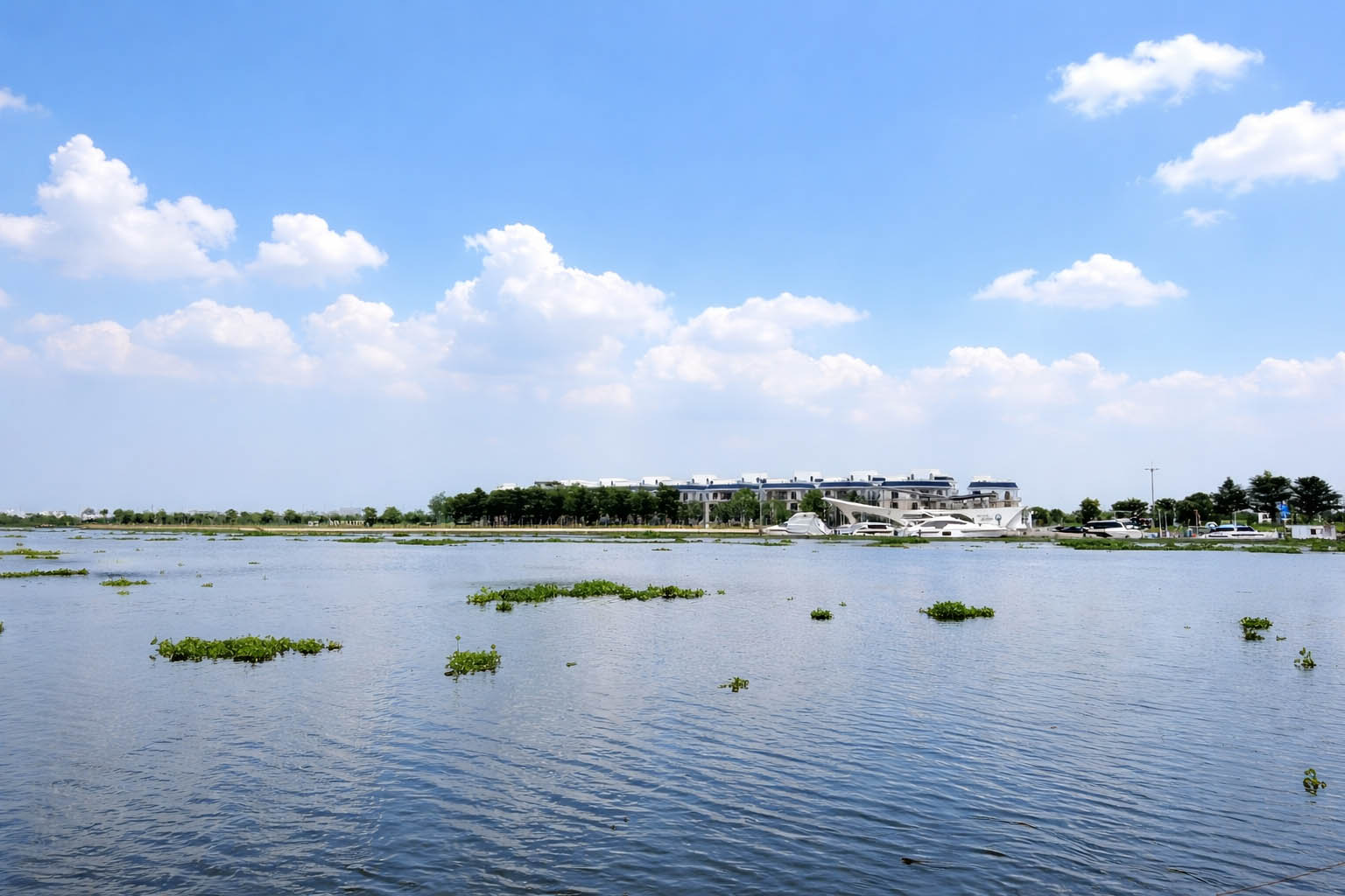 Khu Dân Cư Bình Lợi - Đặng Thùy Trâm