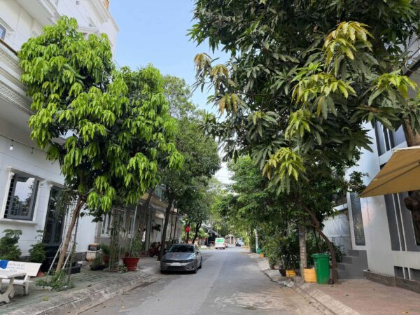 Bán nhà 4 tầng 106m2 Bình Lợi Bình Thạnh sát Phạm Văn Đồng vị trí đắc địa